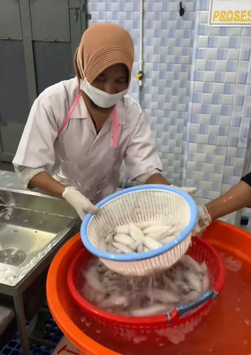 Fasilitas Sortasi Higienis Gudang Seafood